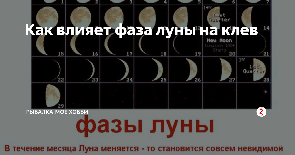 Влияние фаз луны на клев рыбы | fishingby.com