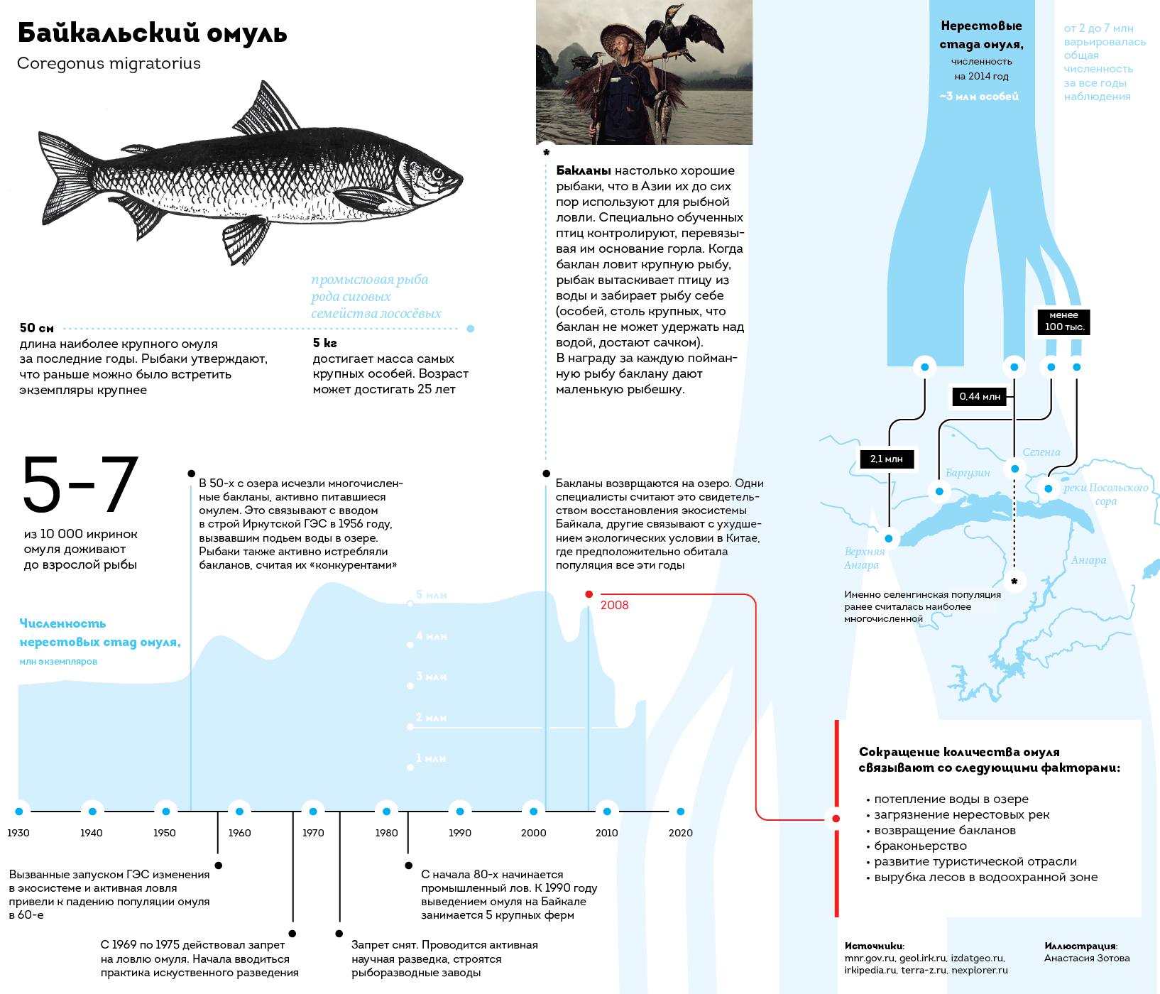 Какую рыбу можно ловить. Ловля рыбы инфографика. Инфографика виды рыбы. Численность рыб. Глубина и рыбы инфографика.