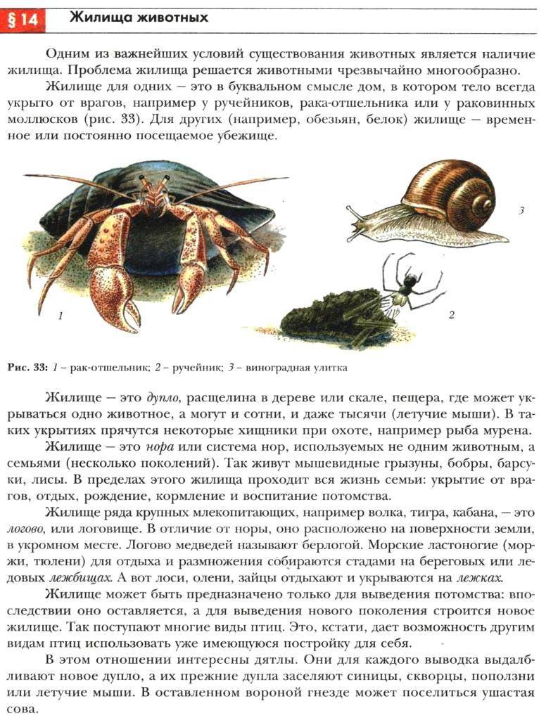 Как ухаживать за раками-отшельниками (с иллюстрациями) | домашние животные и животные 2024