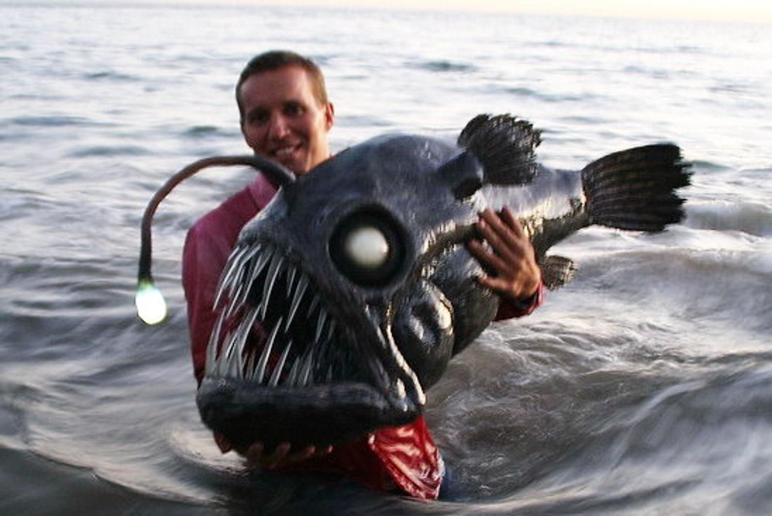 Как называется рыба которая есть людей. Морской черт удильщик. Морской черт глубоководный удильщик. Морской дьявол рыба удильщик. Глубоководная рыба удильщик.