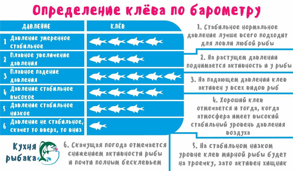 Атмосферное давление для рыбалки - какое давление считается нормальным, оптимальным и лучшим?