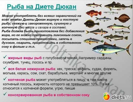 Нежирные сорта рыбы для диеты подробный список. список нежирных и жирных сортов рыбы | здоровье человека