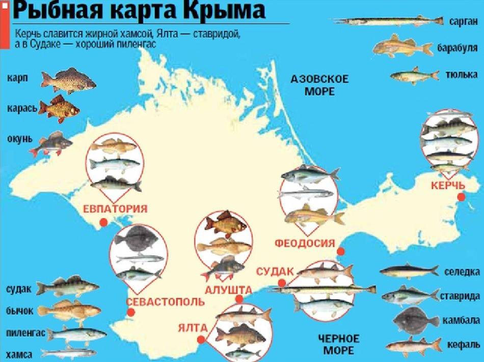 Рыбалка в крыму (91) | карта рыболовных мест