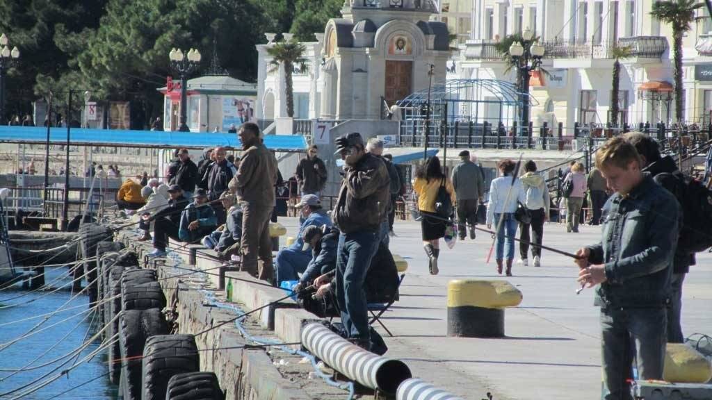Вылавливание карпа на полуострове в северной части черного моря - крыму