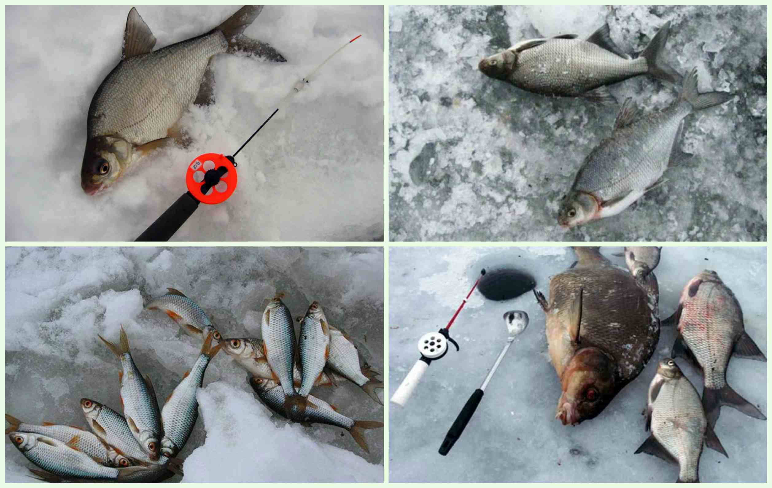 Рыбалка на озернинском водохранилище
