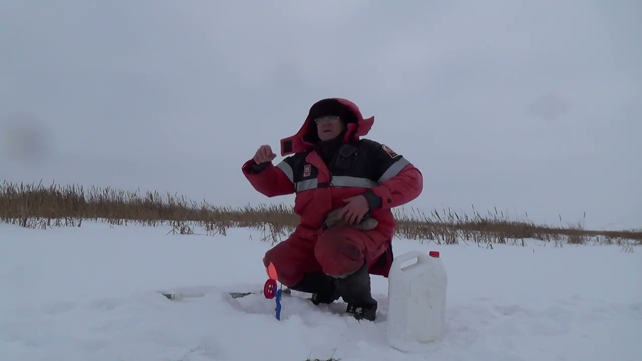 На что ловить налима – лучшие наживки и приманки