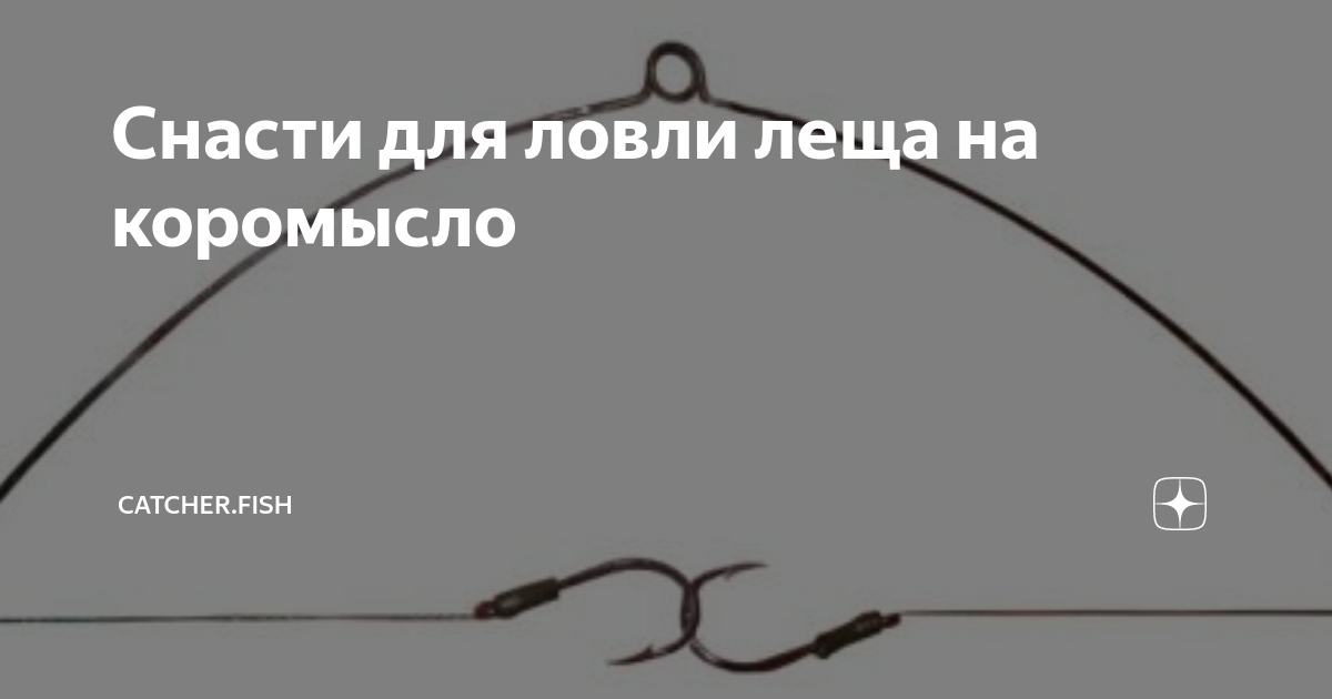Зимний лещ на коромысло — снасть и техника ловли