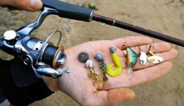 Летняя рыбалка со спиннингом – окунь на микроджиг