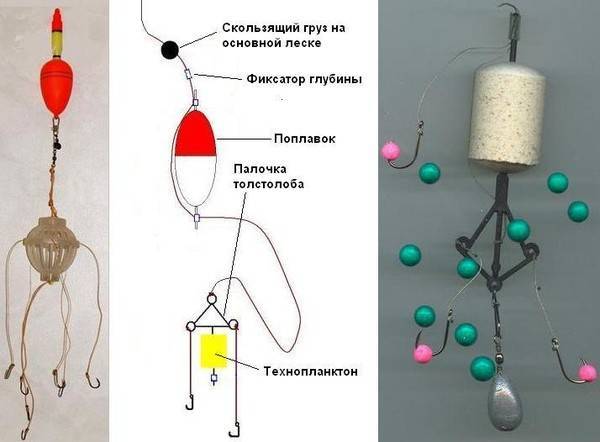 Снасти для ловли толстолобика - ловля на донную снасть, на технопланктон, наживка