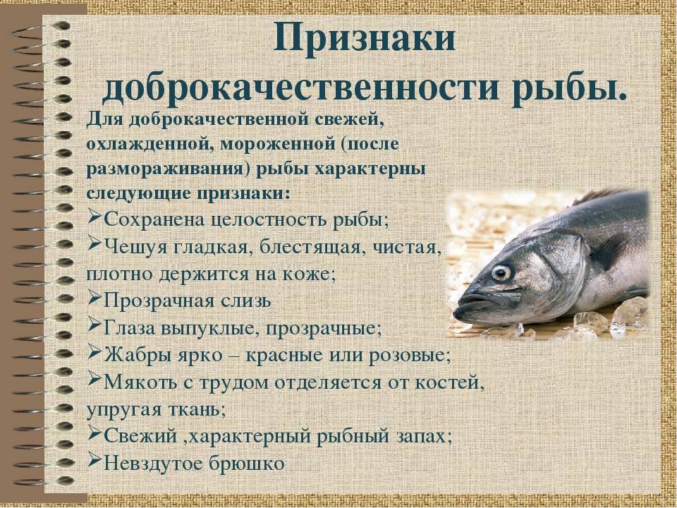 Рыба корюшка