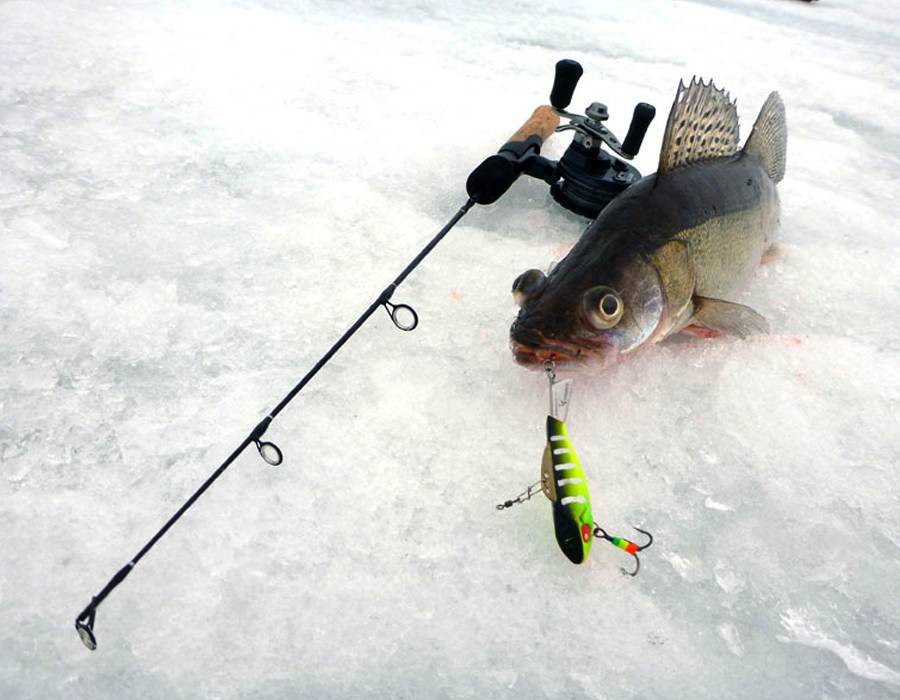 Ловля щуки на зимние жерлицы. поиск перспективных мест на водохранилище - спортивное рыболовство