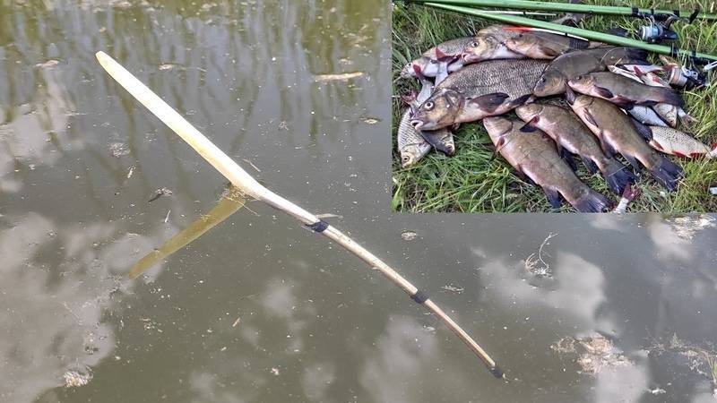 ᐉ рыбалка на линя поплавочной удочкой: сбор снасти и поиск перспективных мест - ✅ ribalka-snasti.ru