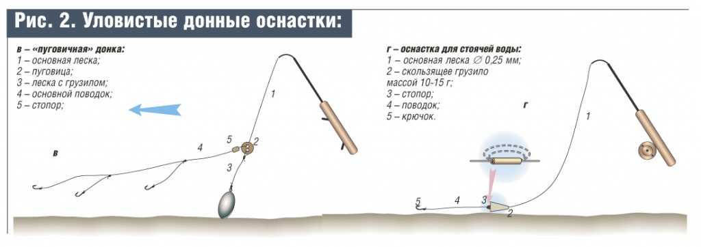 Как ловить леща на донку