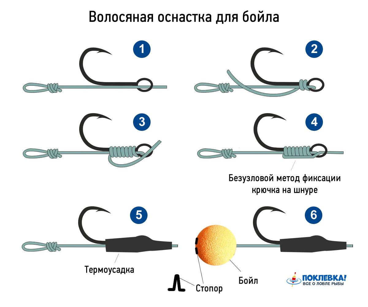 Firstfisher.ru – интернет-журнал о рыбалке и рыболовах. как правильно насадить бойл?