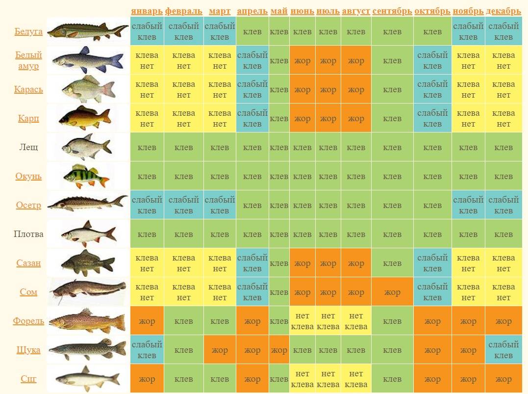 Прогноз погоды и клёва рыбы на 3-5 дней — будет ли клевать рыба, прогноз рыбалки