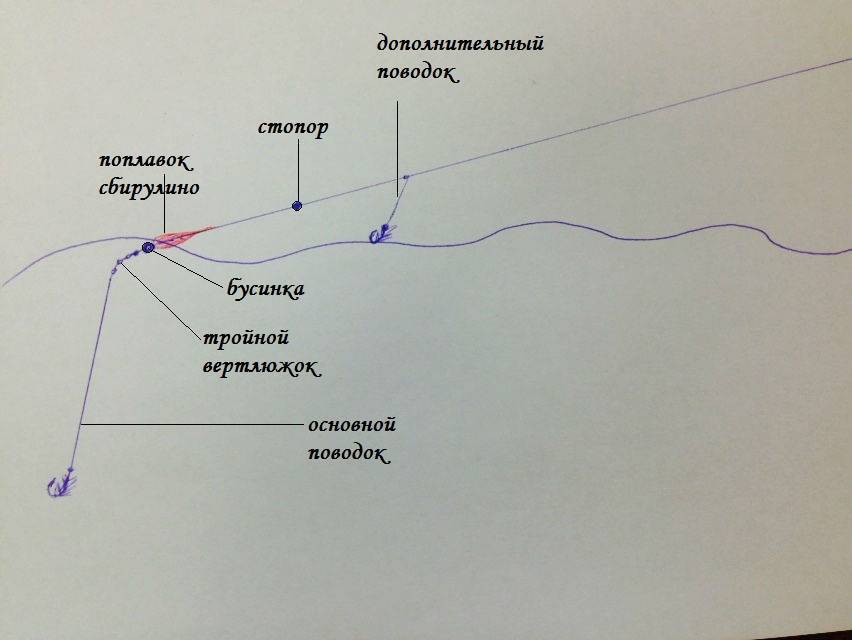 Как ловить форель на бомбарду