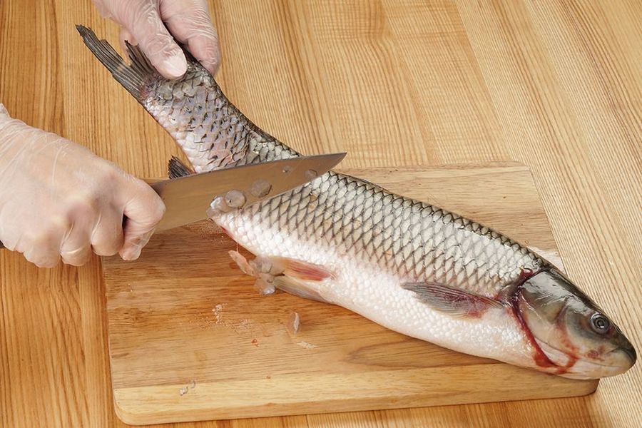 Соленая скумбрия в домашних условиях - очень вкусные и несравненные рецепты