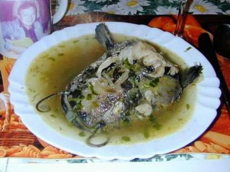 Уха из головы семги в домашних условиях: 6 рецептов