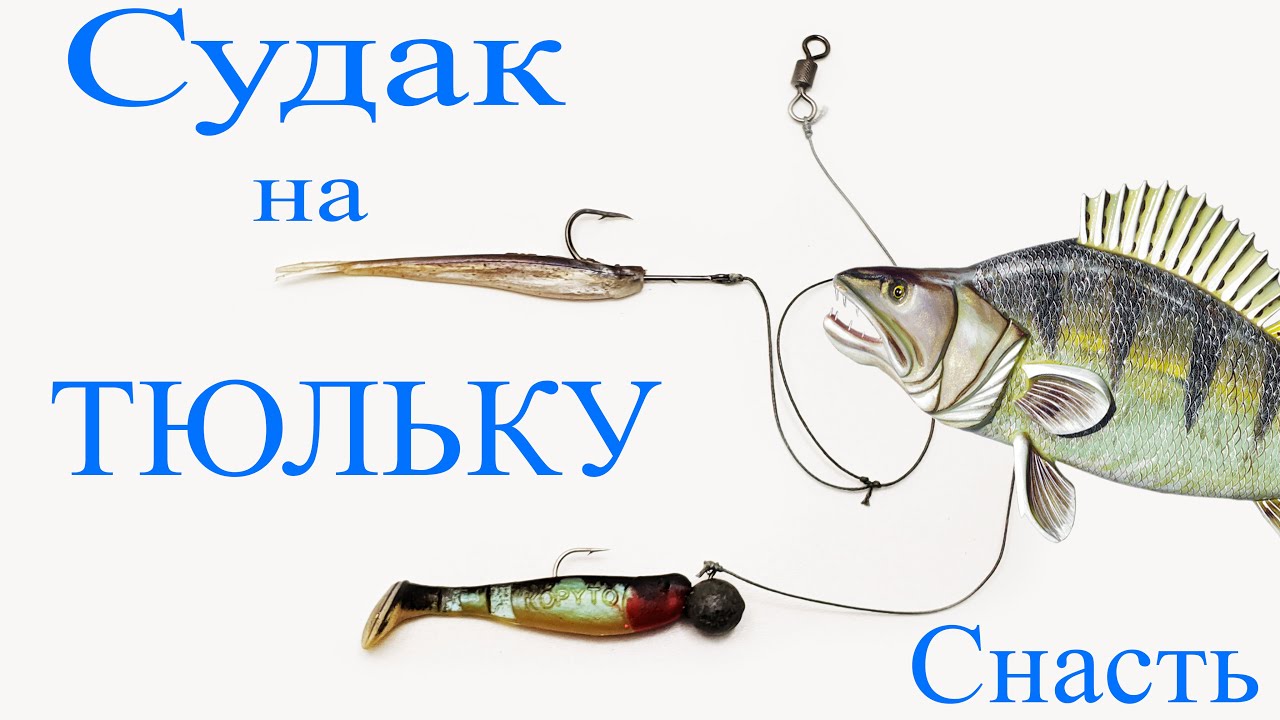 Зимняя рыбалка на судака: где водится рыба, стратегия ловли, какими снастями ловить на тюльку зимой