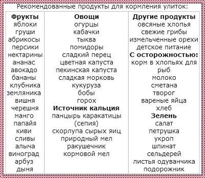 Чем кормить улиток ахатин