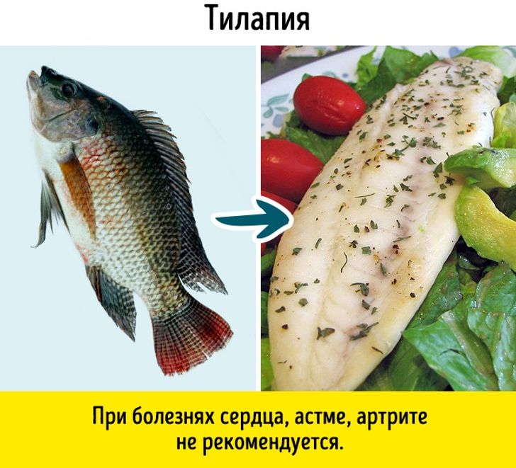 Можно ли есть рыбу баса из вьетнама? - вьетнам - 2024