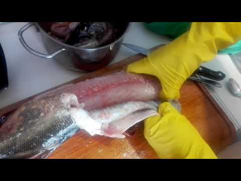 Как правильно снять шкуру с щуки чулком, подготовка и процесс