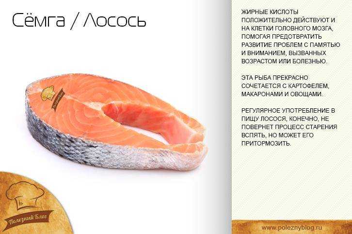Чем отличается семга от форели: особенности и отличия | в чем разница