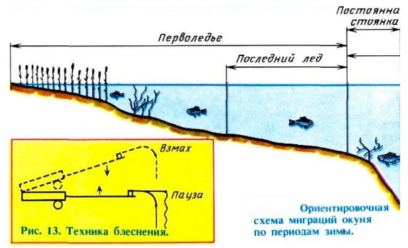 Ловля окуня зимой на балансир: как рыбачить, проводки и снасти