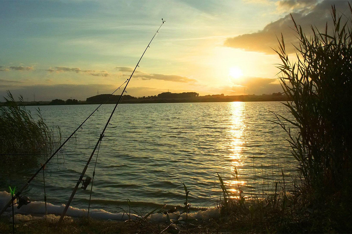 Успешная рыбалка на спиннинг на днепре: локации, секреты и трофейная щука