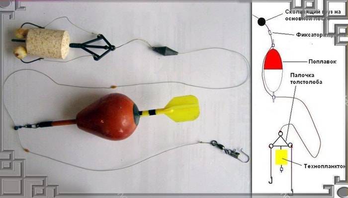 Ловля толстолобика на технопланктон: виды снастей и техника ужения