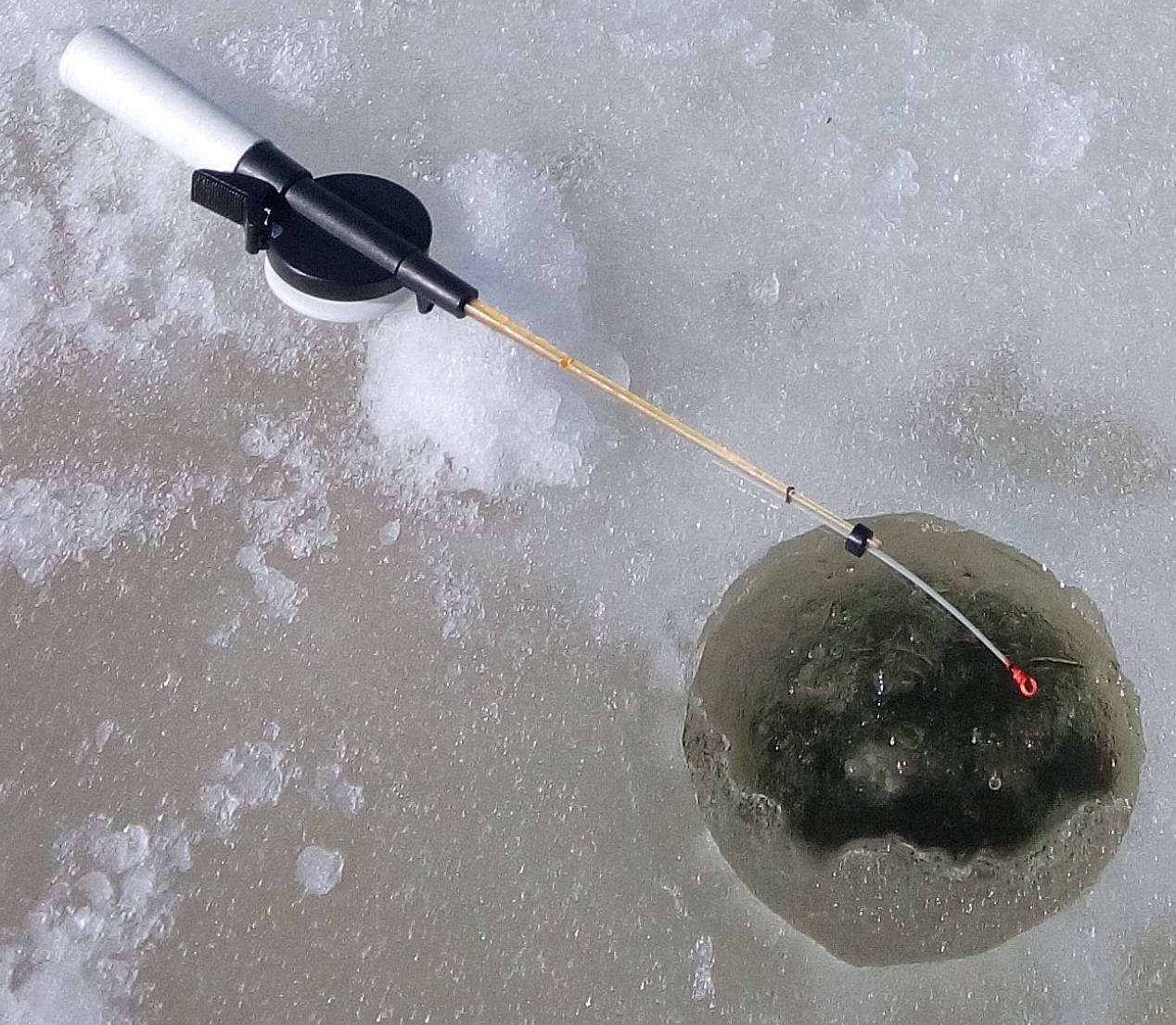 Ловля карпа зимой: что необходимо знать для успешного улова
