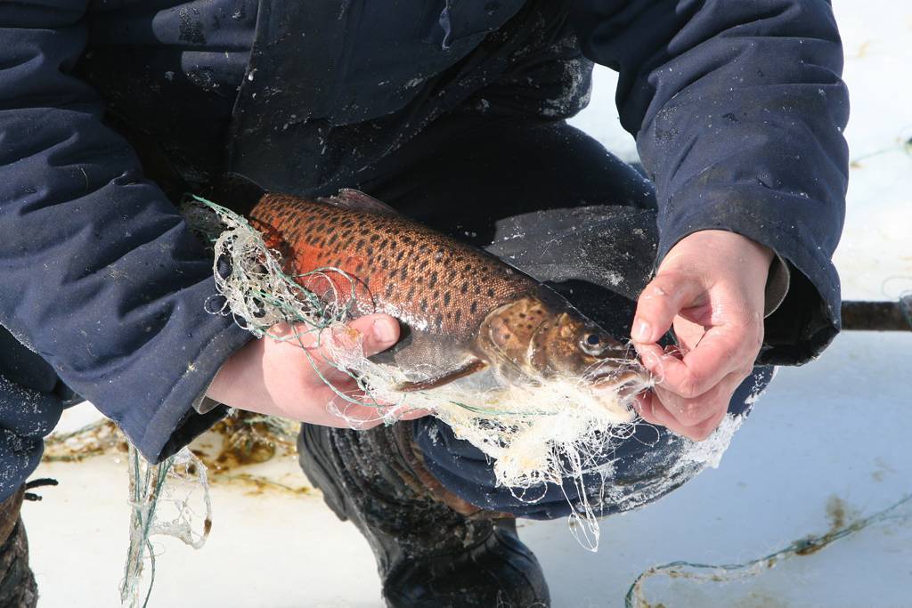 Удочки для зимней рыбалки: виды, приманки, оснастка, как сделать удочку своими руками