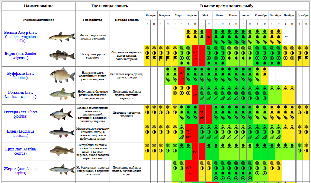 Прогноз клева рыбы на неделю. Таблица когда клюет рыба. Когда какая рыба клюет таблица. Таблица клева карася. Таблица клева окуня.