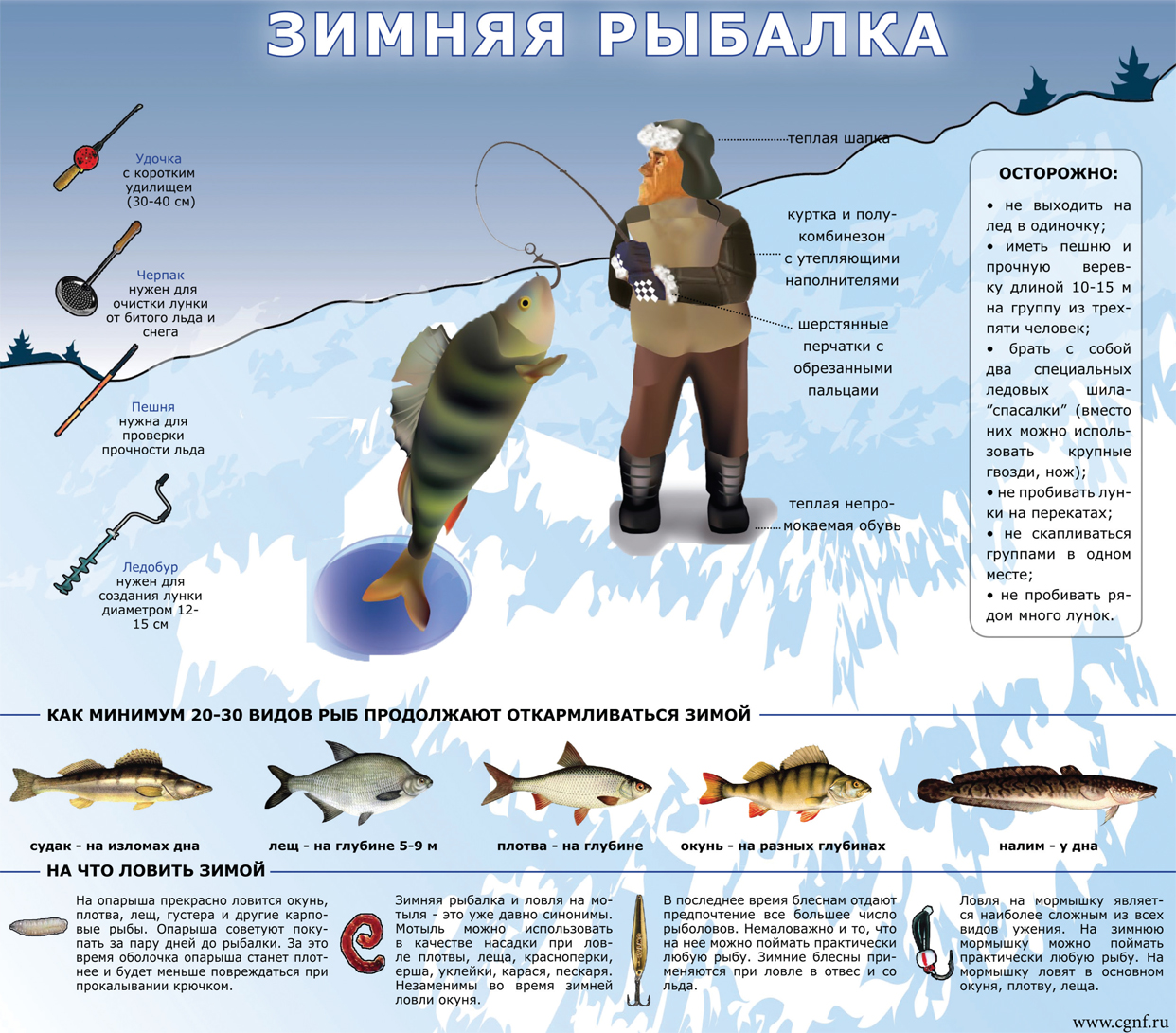 Места для рыбалки во владивостоке с берега: топ-5 лучших мест