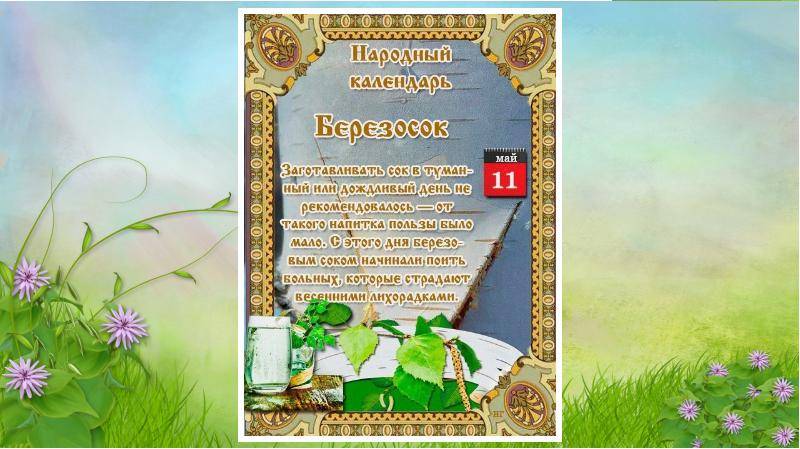Аквариум травник: как сделать с нуля, свет, грунт, фитофильтр