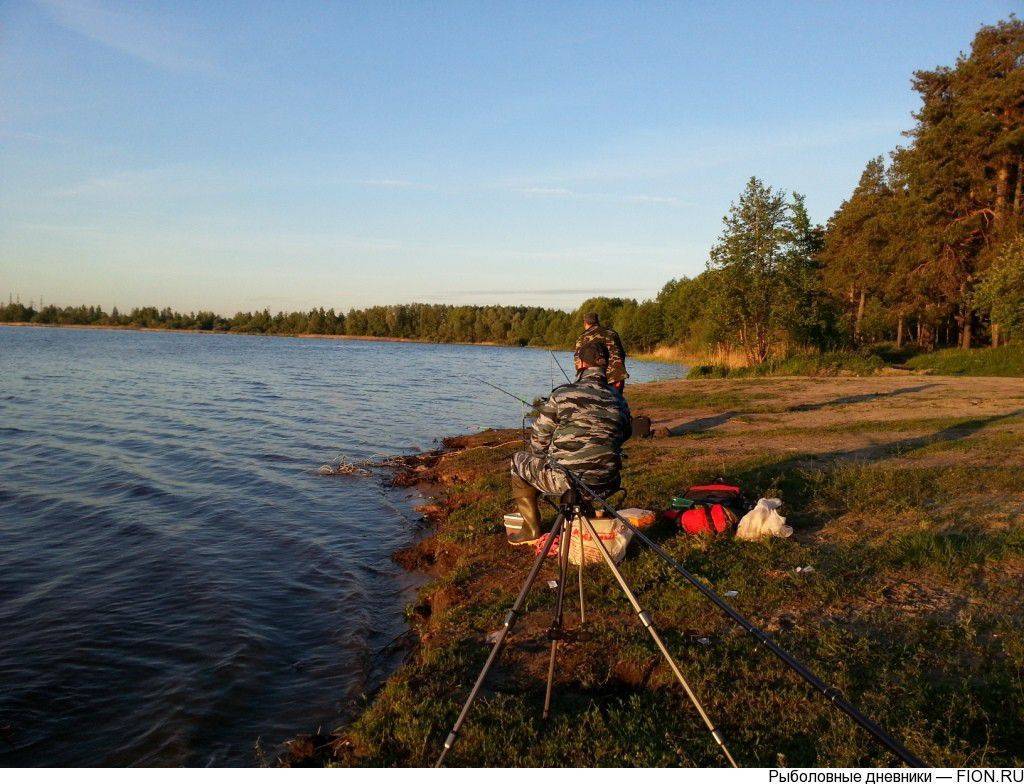 Рыбалка в шатурском районе московской области 4 водоема