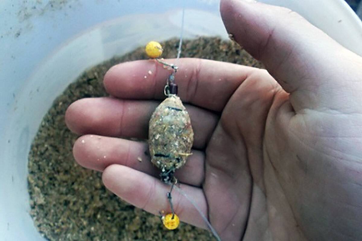 Секреты рыбалки: ловим карпа на пружину