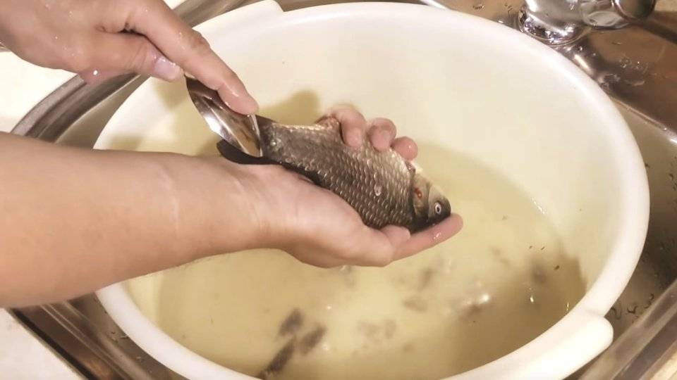 Как чистить рыбу: 18 популярных советов