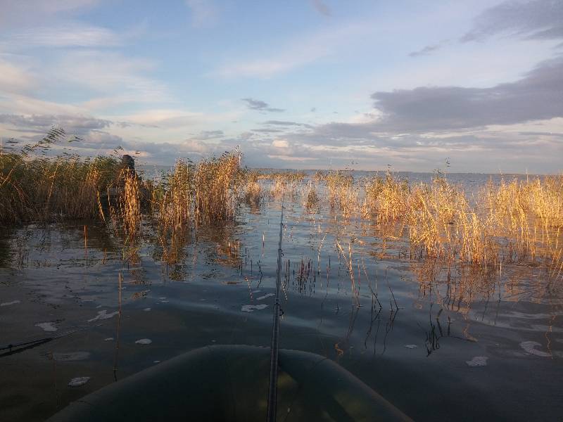 Озеро уелги рыбалка. Уелги озеро в Челябинской области. Озеро Уелги Челябинская область рыбалка. Озеро Кунашак Челябинская. Озеро Уелги Челябинская область рыбалка летом.