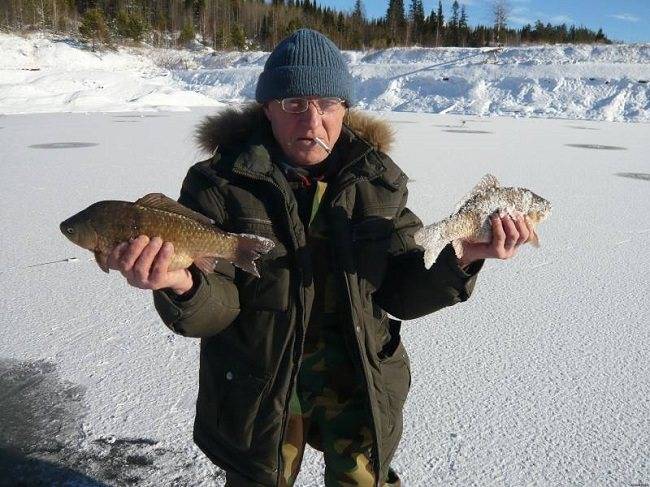 Рыбалка на карася зимой: лучшие способы ловли карася со льда