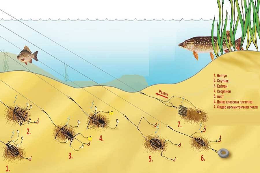 Как приготовить снасть для карася и карпа