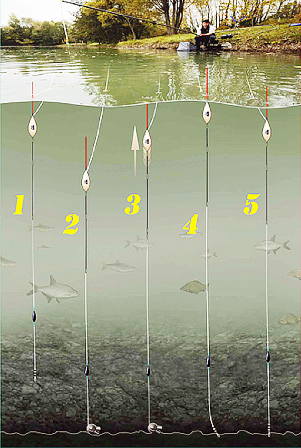 Какие поплавки для ловли карася лучше использовать? - суперулов - интернет-портал о рыбалке