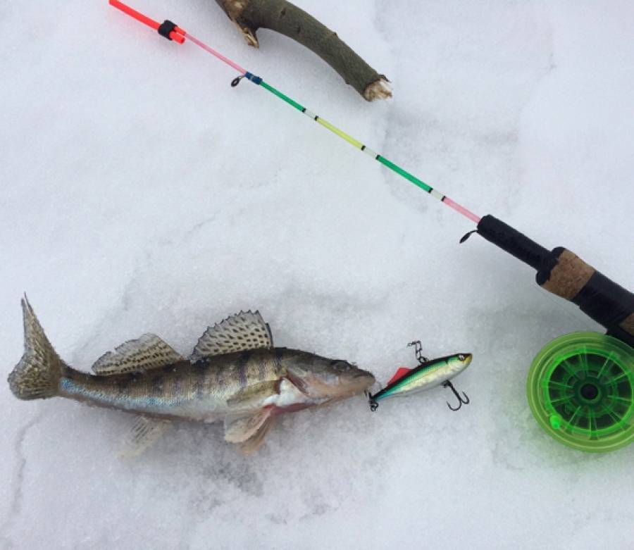 Ловля на вибы (раттлины) зимой - поиск рыбы, выбор приманки