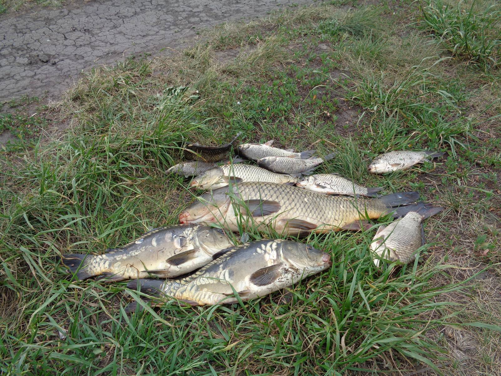 Рыбалка в белгороде - куда поехать на рыбалку