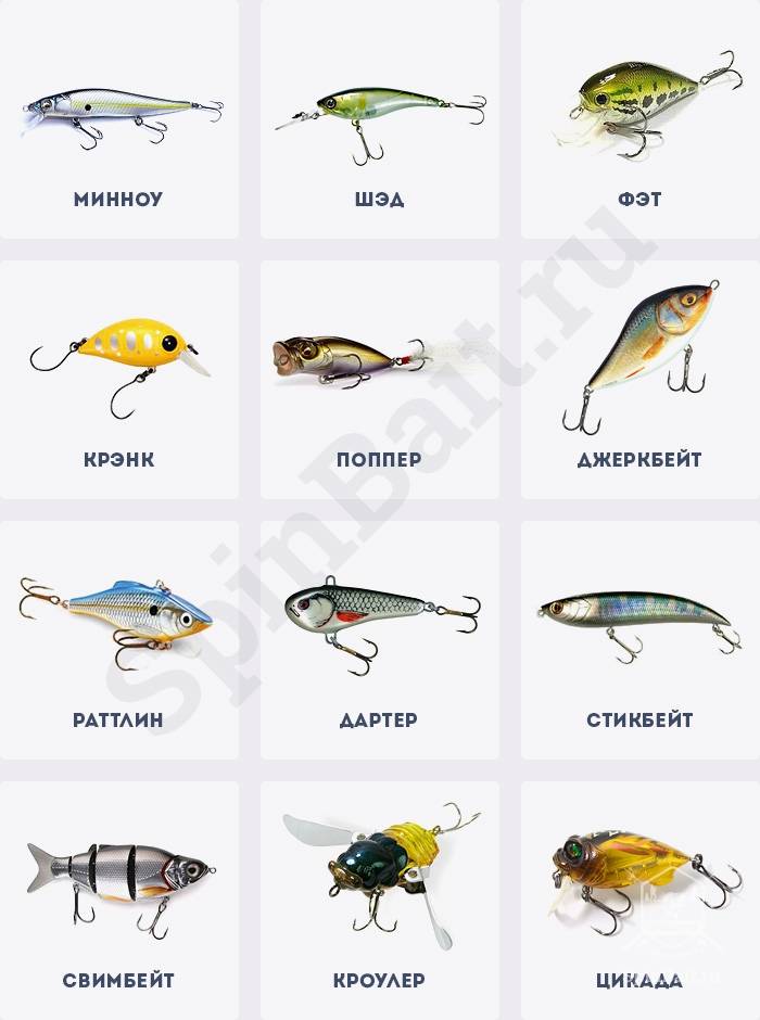Виды блесен для рыбалки на спиннинг, их устройство и классификация