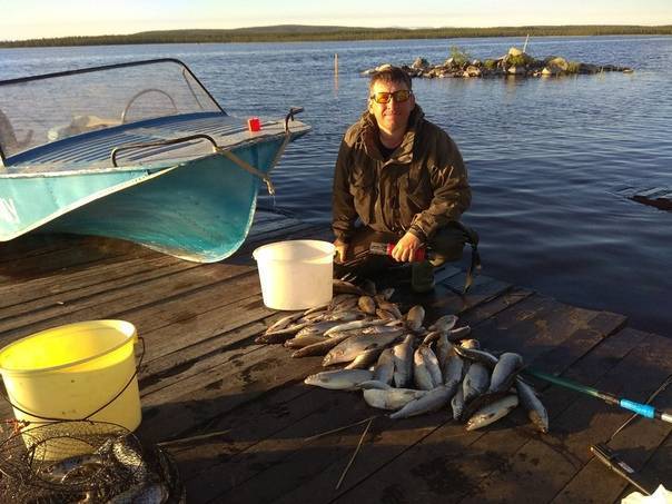 12 самых доступных мест для рыбалки в ленинградской области
