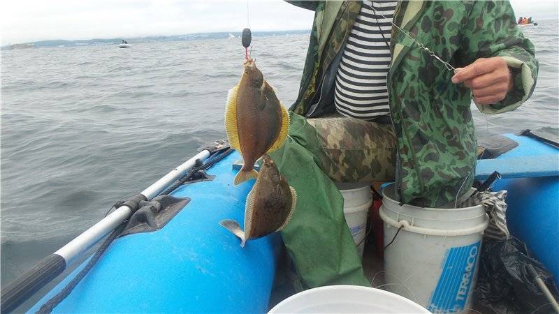 Cнасть на камбалу своими руками, как ловят камбалу