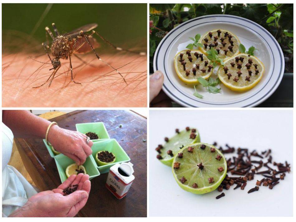Как избавиться от комаров в домашних условиях подручными средствами