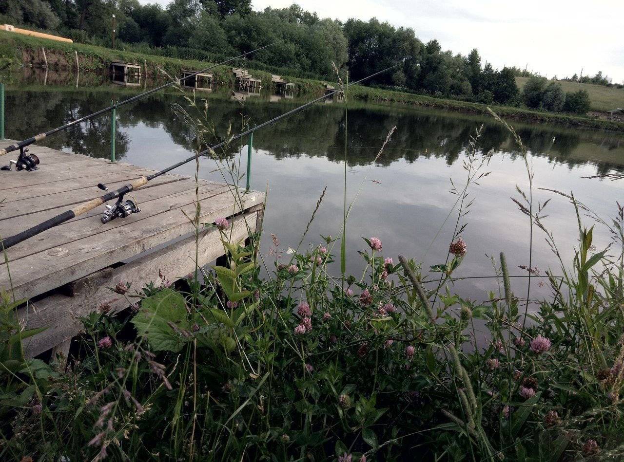 Рыбалка в смоленской области 2022: отчеты, платные и бесплатные места