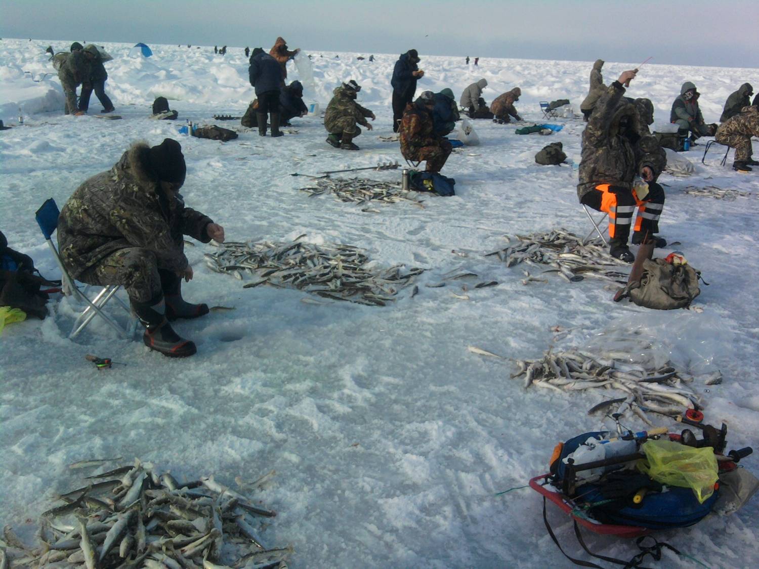 Лов зимой. Ловля корюшки на финском заливе. Зимняя рыбалка на омуля на Байкале. Зимняя рыбалка на финском заливе. Рыбалка на корюшку на финском заливе.